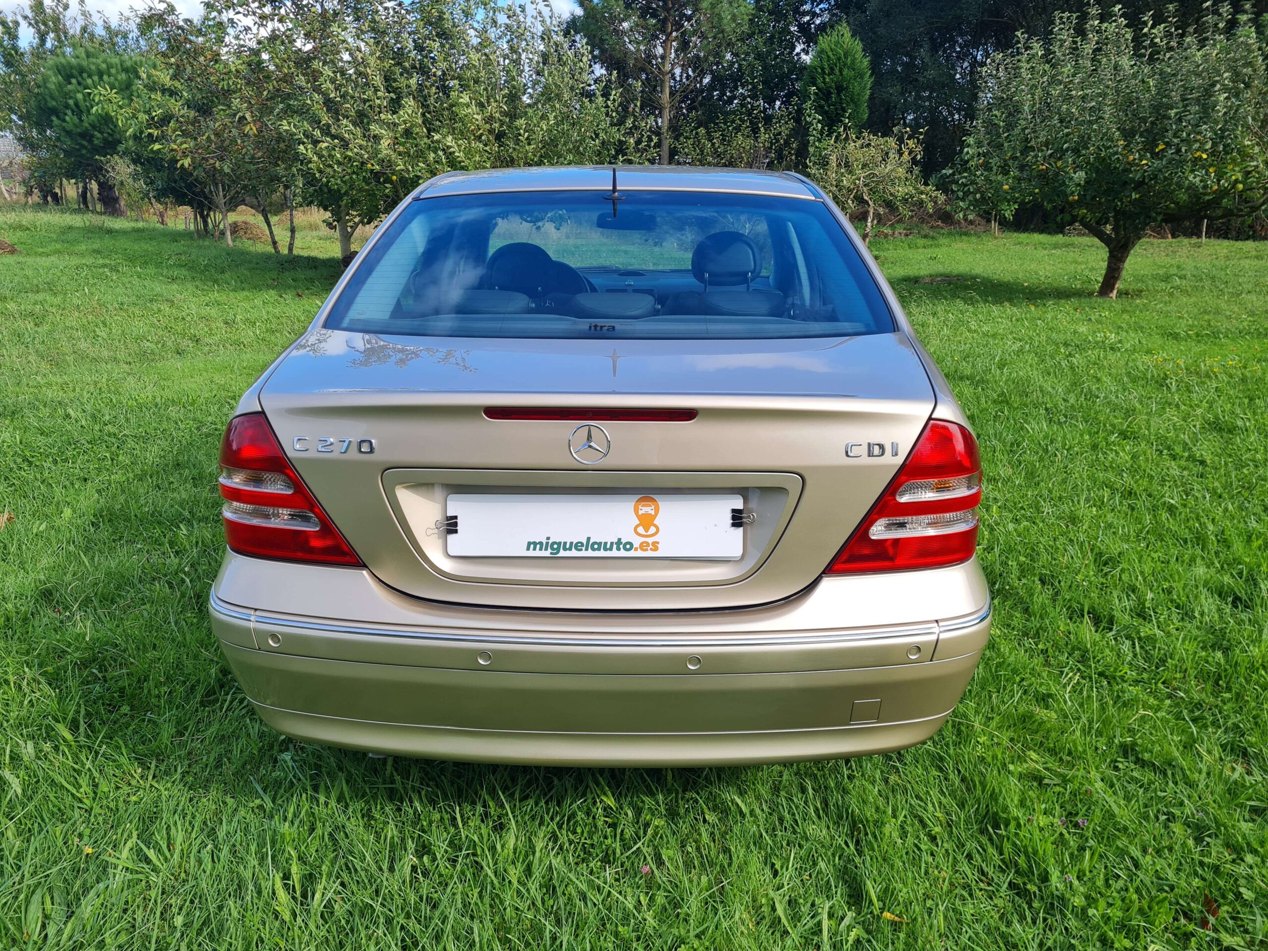 MERCEDES BENZ