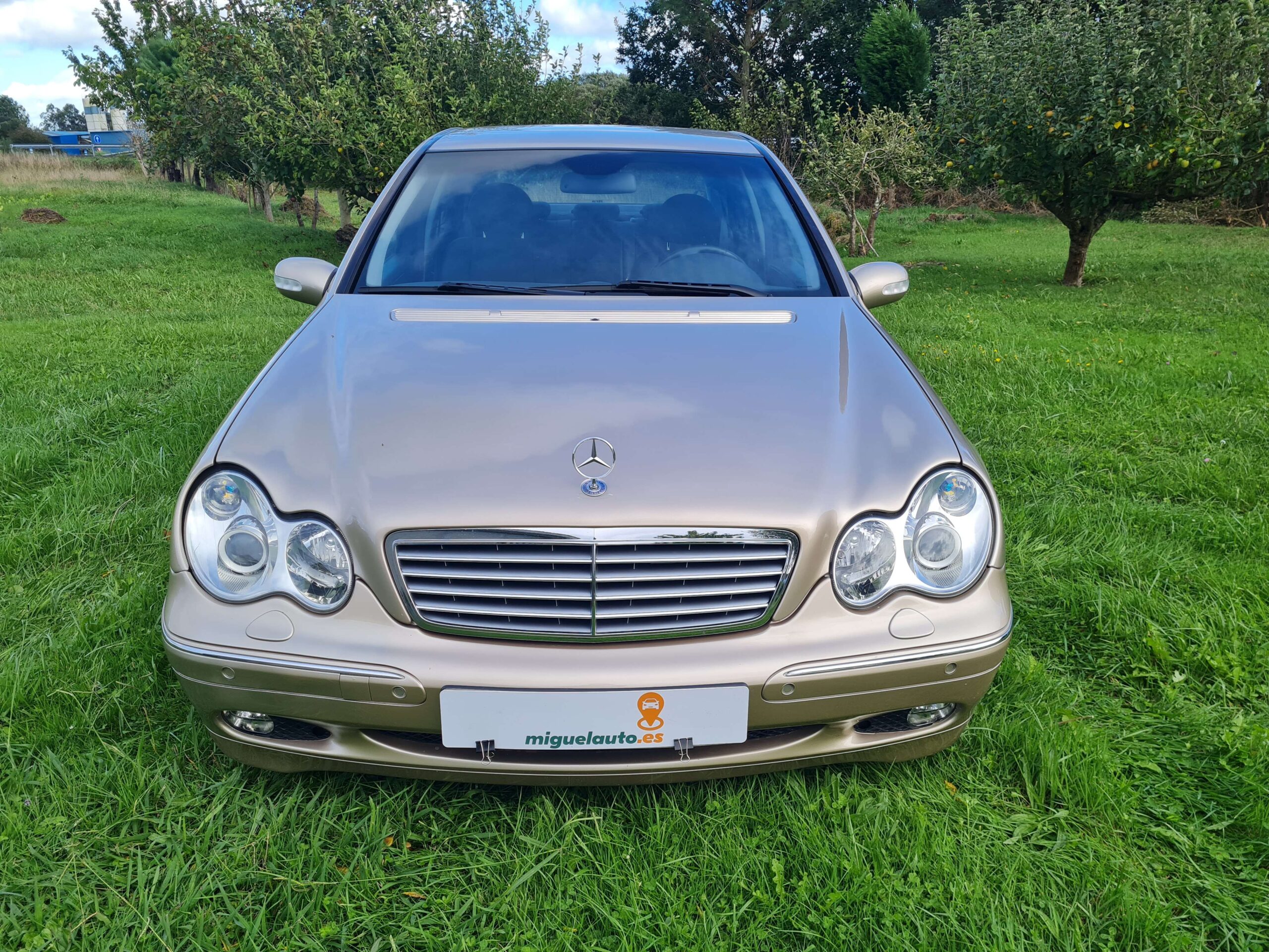 MERCEDES BENZ