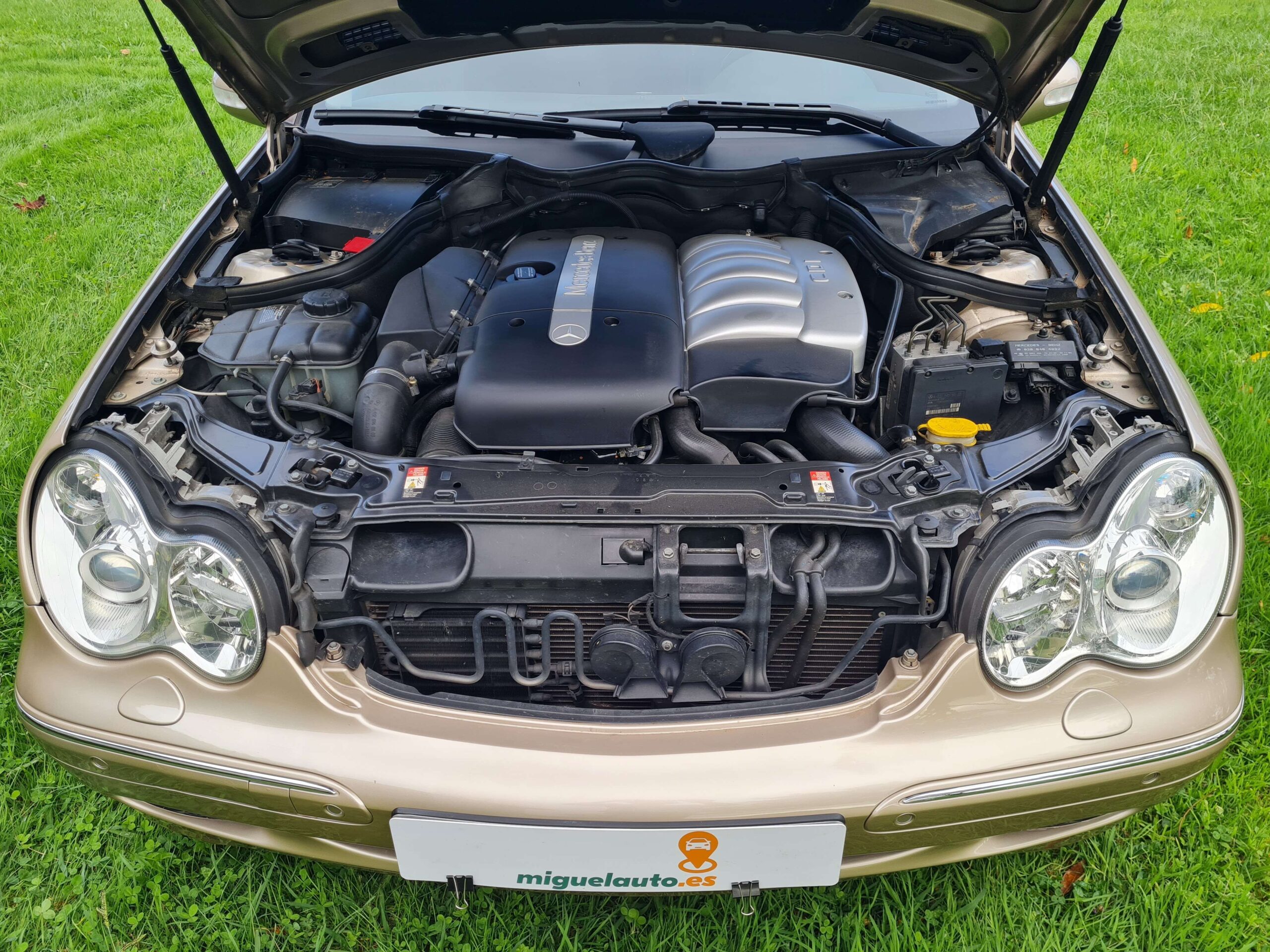 MERCEDES BENZ